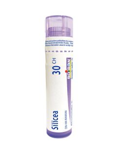 ARNICA-SALBE DHU POMATA TUBO DA 50 G