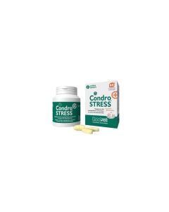 CONDROSTRESS + 60CPR MASTIC