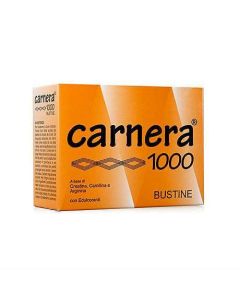 CARNERA 1000 - 18 BUSTINE